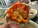 【活蟹】阳澄佳缘大闸蟹 现货鲜活大螃蟹公母蟹 海鲜水产生鲜礼盒 公4.0-4.3两母3.0-3.3两4对8只 实拍图