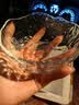 网红玻璃水果盘家用沙拉碗新款ins风轻奢客厅茶几点心零食干果盘 沙拉碗【透明小号】 实拍图