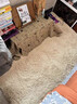 羽璐毛绒地毯卧室床边毯加厚榻榻米垫冬天房间毛毯坐垫防滑可定制地垫 浅驼色 160*60cm 实拍图