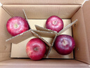 京鲜生 天水花牛苹果 净重4.5斤 单果170g+ 生鲜水果源头直发 实拍图