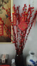 花行榜鲜枝年宵花卉 精品A级红色银柳80cm高30枝+灯笼2个+挂件源头直发 实拍图