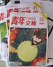 【官方正版】青年文摘杂志2026年1/2/3期新/2025年1-12月【全年/半年订阅/2024全年珍藏/合订本可选】初中高中学生中高考作文素材文学文摘期刊非过刊K 现货【全年珍藏24本】25年1-1 实拍图