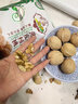 享食兔核桃新疆薄皮新鲜原味无添加阿克苏2025年新货无漂白带夹子生500g 实拍图