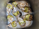 蜀皇 乳山生蚝鲜活大海鲜年货5斤净重5XL(8-12个)只源头直发包 邮 实拍图