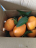 逮果重庆奉节脐橙纽荷尔春橙福本特级大果礼盒装时令新鲜孕妇水果橙子 精选5斤大果【JD/顺丰】 实拍图