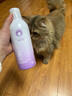 雪貂留香轻氧净爽慕斯狗狗猫咪祛味留香免水洗泡泡宠物香波抑菌猫用沐浴露 实拍图