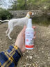 拜达尔狗狗驱虫喷雾宠物猫咪驱虫药体外非泼罗尼喷剂去跳蚤蜱虫100ml 实拍图