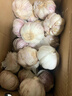山东金乡鱼台大蒜农家自种干蒜新鲜蔬菜紫皮批发多瓣祘头当季 精品大蒜【带箱3斤】 实拍图