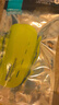 维克利奥VICLEO儿童青少年足球护腿板护踝护具插片式一对装V820216荧光黄 实拍图