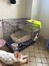 憨憨宠猫笼折叠猫笼子大号猫别墅加粗加密双层猫舍猫窝宠物猫咪用品家用 黑色 700双层 实拍图