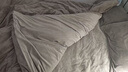 京东京造 220g牛奶绒四件套 A类秋冬加厚高克重法兰绒保暖双人床单枕套被套 1.5米床 椰云Milky 实拍图