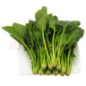 京鲜生 新鲜菠菜 600g 简装 新鲜蔬菜 实拍图