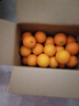天乐优选麻阳冰糖橙新鲜橙子水果当季整箱果冻甜橙手剥橙子爆汁应季时令 净重4.5斤单果60mm以下 实拍图
