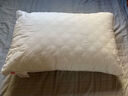 南极人抗菌枕头枕芯一对装（2只）星级酒店纤维枕颈椎枕 双人高弹枕头芯 实拍图