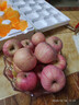 山丘二十里【果园直发】新鲜脆甜5斤不打蜡山东烟台栖霞红富士苹果应季水果 5斤75mm-80mm 条纹红 实拍图