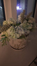 水木然 北欧仿真尤加利雏菊室内盆景摆件客厅餐桌假花仿真花摆设 实拍图