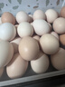 京鲜生可生食标准鲜鸡蛋30枚礼盒装3斤 源头直发 实拍图