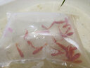 金鱼草金鱼观赏鱼冷水好养耐活小鱼苗锦鲤 5-7cm 红草金买10条送10条（加备损） 实拍图