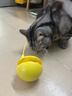 HELLOJOY猫玩具猫咪逗猫棒不倒翁猫薄荷球自嗨解闷神器猫猫小猫幼猫宠物 实拍图