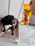 HELLOJOY狗狗零食磨牙棒比熊泰迪中小型犬磨牙洁齿 鸡肉绕奶酪100g 实拍图
