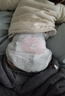 好奇（Huggies）铂金装小桃裤成长裤L120片(9-14kg)大号尿不湿拉拉裤【透爽散热】 实拍图