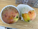 玖原农珍 四川攀枝花凯特芒果净果4.5-5斤优选芒果350g+ 当季新鲜水果 实拍图