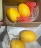 京鲜生 黄金哈密瓜 2粒 单果2.5斤起 净重6-8斤 生鲜水果礼盒 实拍图