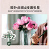 乐高（LEGO）积木拼装10374 粉玫瑰花束男孩女孩儿童玩具生日圣诞礼物 实拍图