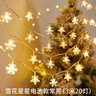 多美忆圣诞彩灯氛围灯串联新年彩灯过年氛围灯户外防水满天星星led灯带 实拍图
