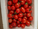 新鲜圣女果小西红柿小番茄新鲜蔬菜生鲜减肥减脂早餐沙拉现摘现发 畅享装 3斤 带箱 实拍图