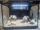 森森金麟超白玻璃鱼缸一体缸自循小型懒人家用水族箱LE-380 实拍图