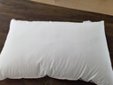 水星家纺枕头枕芯酒店枕头护颈枕头芯家用单个纯棉抗菌可水洗中枕48x74cm 实拍图