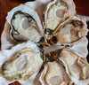 鲜京采 鲜活生蚝4XL 净重5斤 10-13只 鲜活到家 生鲜海鲜 源头直发 实拍图
