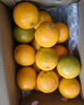 京鲜生 云南哀牢山冰糖橙/橙子 5斤装 单果130g-170g 生鲜水果年货礼盒 实拍图
