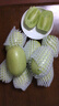 京鲜生 山东玉女小黄瓜 净重3斤 单果80g+ 青瓜水果拇指黄瓜 源头直发 实拍图