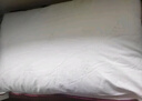 水星家纺枕头枕芯酒店枕头护颈枕头芯家用单个纯棉抗菌可水洗中枕48x74cm 实拍图
