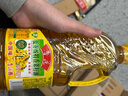 鲁花【保真菜籽油】食用油 低芥酸特香菜籽油 900ml 物理压榨  实拍图