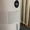 亚都（YADU）无雾加湿器卧室/婴儿纯净型家用办公室桌面冷蒸发恒湿数显/净化空气上加水SZ300-TJK302 实拍图