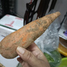 京喜加新鲜现挖现发胡萝卜农家自种蔬菜水果沙地红萝卜 带泥胡萝卜5斤 含箱 实拍图