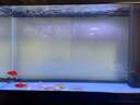 汉霸超白玻璃鱼缸 生态底滤循环系统 鱼缸客厅 家用智能懒人 水族箱 黑+黑 靠墙款1.16米长x40cm宽x75cm+80cm 实拍图
