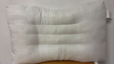 艾薇决明子枕头颈椎枕枕芯整头学生宿舍酒店睡眠枕头一只装  45*70cm 实拍图