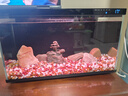 米家（MIJIA）小米米家智能生态鱼缸还原自然生态补仓一次三月无忧出差旅行必备 实拍图