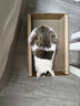 pidan猫抓板 纸盒款 瓦楞纸猫窝耐磨猫玩具 实拍图
