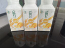 伊利畅轻利乐冠酸奶 低温风味发酵乳 燕麦黄桃250g*6瓶 源头直发包邮 实拍图