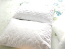 洁丽雅（Grace）纤维枕 星级酒店枕头枕芯 46*72cm 一对装（2只装） 实拍图