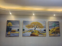 诗六艺家饰客厅装饰画现代简约大气晶瓷墙壁壁画轻奢高级感沙发背景墙挂画 发财有鹿（铝合金外框） 左右60*80中间120*80cm 镶钻画 实拍图