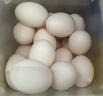 均鲜新鲜土鸽子蛋杂粮喂养农家特产白鸽蛋信鸽蛋孕妇宝宝年货节礼盒装 30枚610g左右精选鲜鸽蛋 实拍图