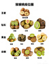 佳沛（zespri）新西兰  阳光金奇异果25-27粒原箱特大果单果约122-146g  猕猴桃 实拍图
