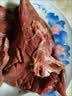 即食猪肺熟食新鲜现做农家土猪肺猪杂猪下水全熟食材免洗商用批发 工厂直销尝鲜2斤（2袋） 实拍图