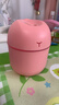 加湿器家用空气加湿器净化器香薰机空调房加湿器喷雾器usb静音卧室孕妇婴儿喷雾宿舍学生女生礼物 标准款【少女粉220ML+纳米雾化+静音加湿】 实拍图